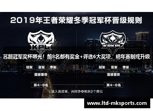 苏超冠军奖杯曝光！前8名都有奖金+评选6大奖项，明年赛制或升级